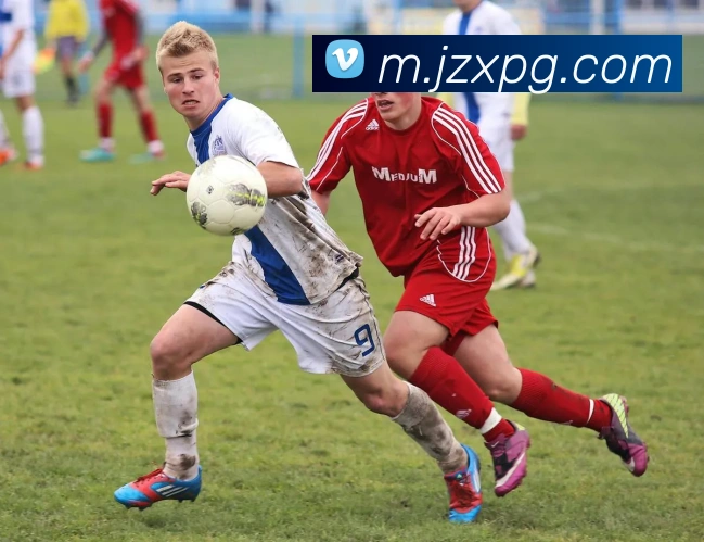 多媒体互动体验